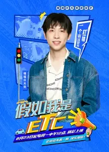 假如我是ETC：一部公路电影的浪漫救赎与人生思考