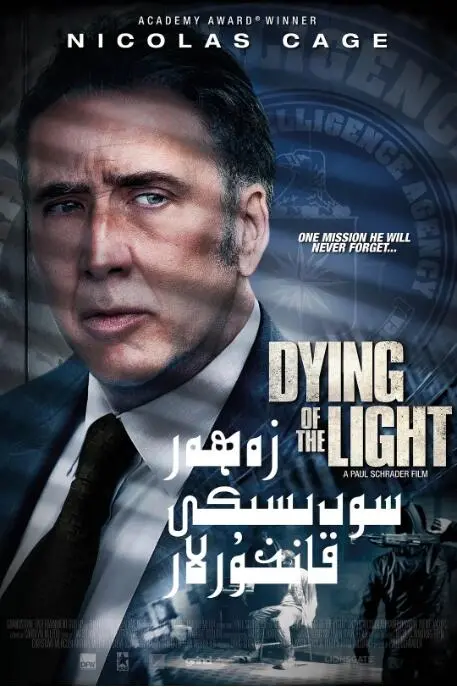 《光逝》影评：一段关于衰老、记忆与爱的深刻救赎